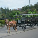 OTRA2014_1347 (September 03, 2014)